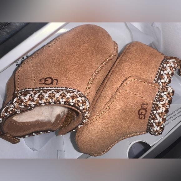 BABY TASMAN (Chestnut ) - Picture 2 of 5